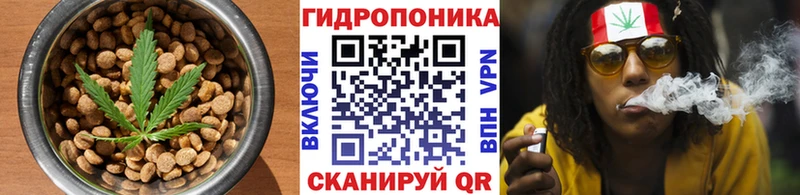 Cannafood конопля  Находка 