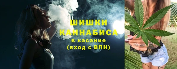 прущие грибы Горно-Алтайск