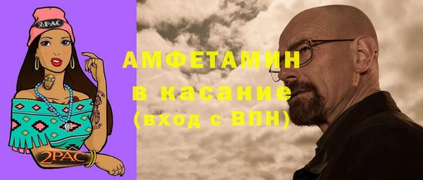 прущие грибы Горно-Алтайск