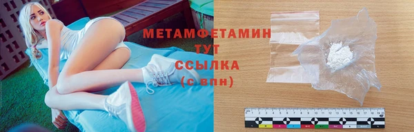 прущие грибы Горно-Алтайск