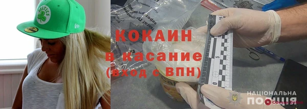 прущие грибы Горно-Алтайск