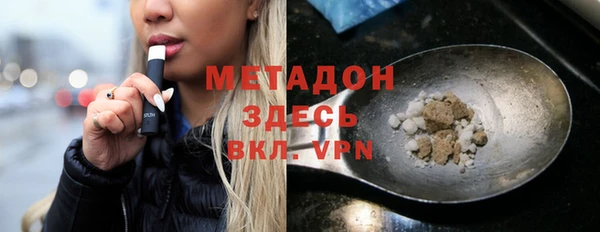 прущие грибы Горно-Алтайск