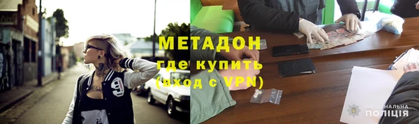 прущие грибы Горно-Алтайск