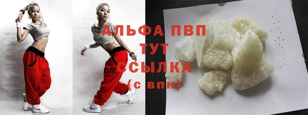 прущие грибы Горно-Алтайск