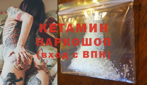 прущие грибы Горно-Алтайск