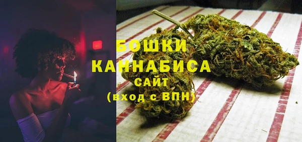 прущие грибы Горно-Алтайск