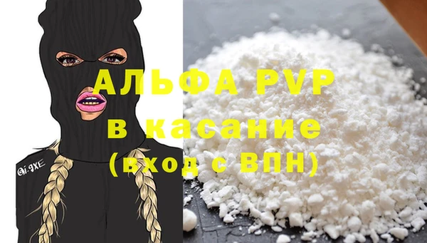 прущие грибы Горно-Алтайск