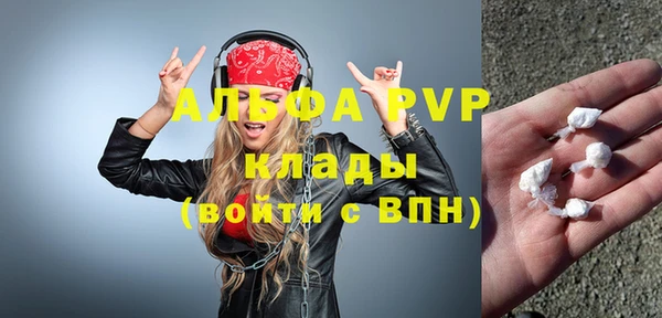 прущие грибы Горно-Алтайск