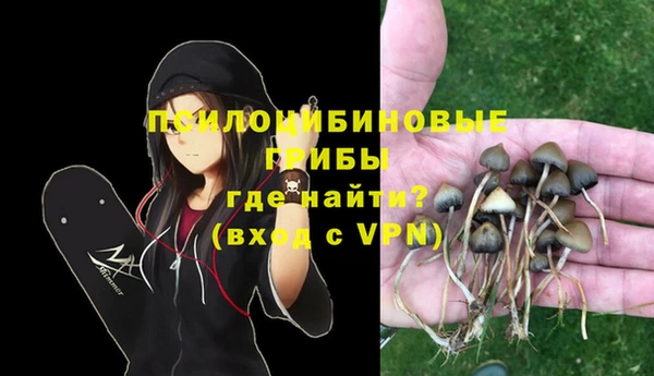 mix Горняк