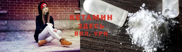 прущие грибы Горно-Алтайск