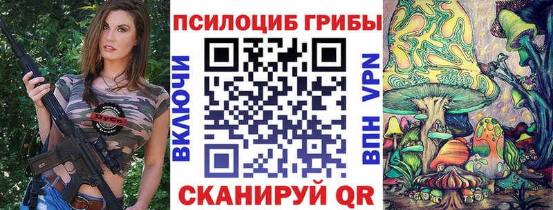MEGA зеркало  Находка  Псилоцибиновые грибы Cubensis 